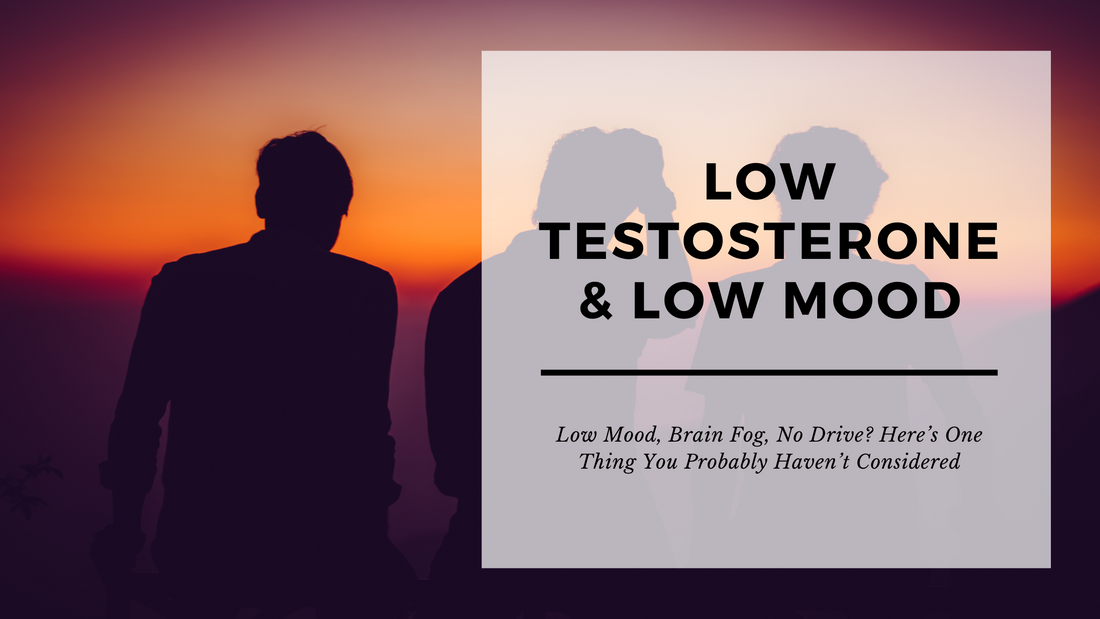Silhouettes of two men during sunset with a blog title overlay reading ‘Low Testosterone & Low Mood,’ exploring lesser-known links between hormone balance, mental wellbeing, and everyday performance.